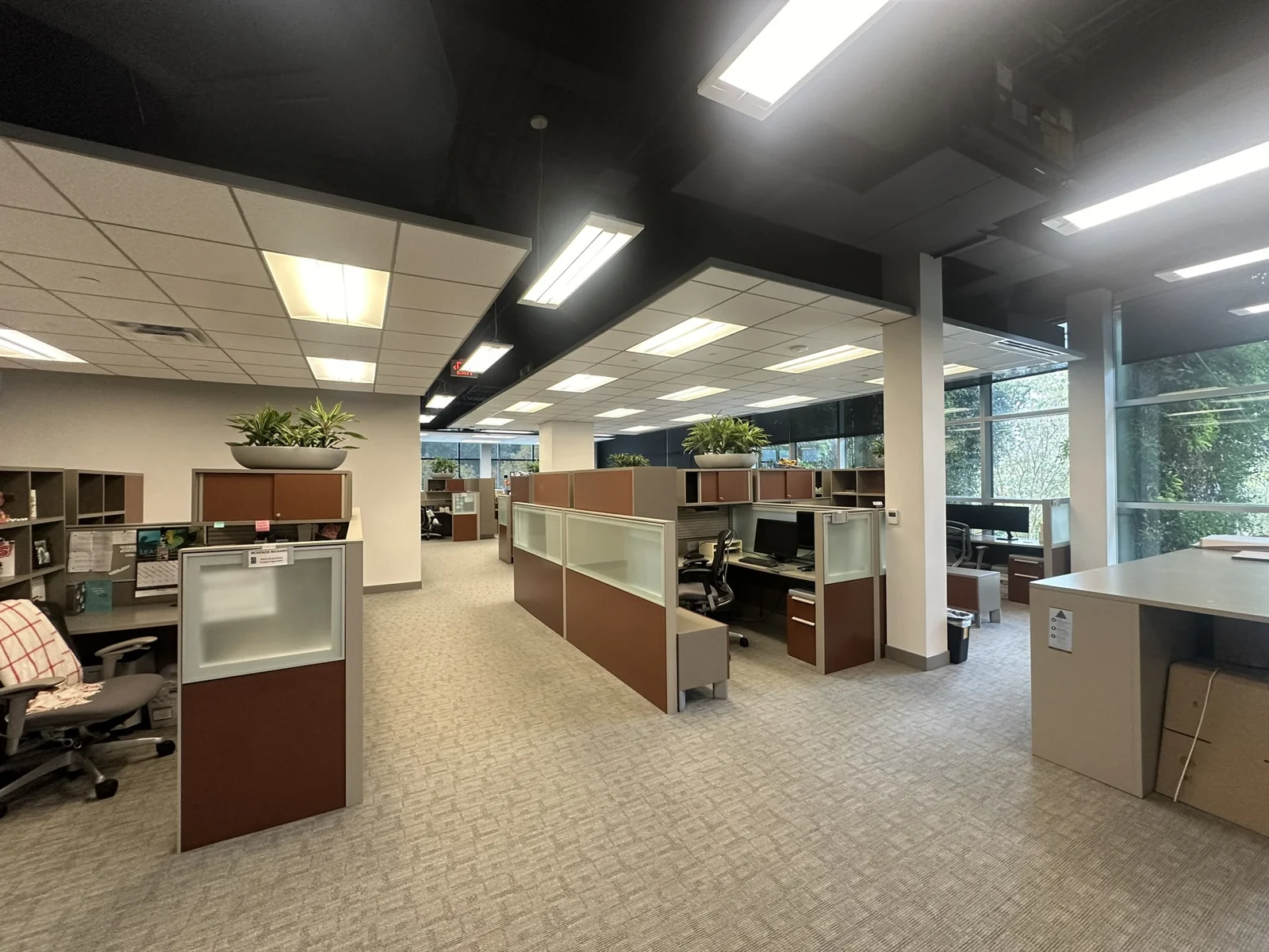Office in Baton Rouge, LA - photo 5 - Baton Rouge, LA