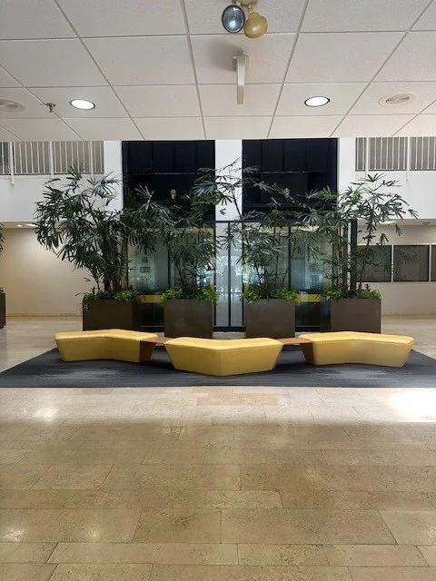 Corporate Atrium — Lease in Baton Rouge, LA, photo 4 of 4