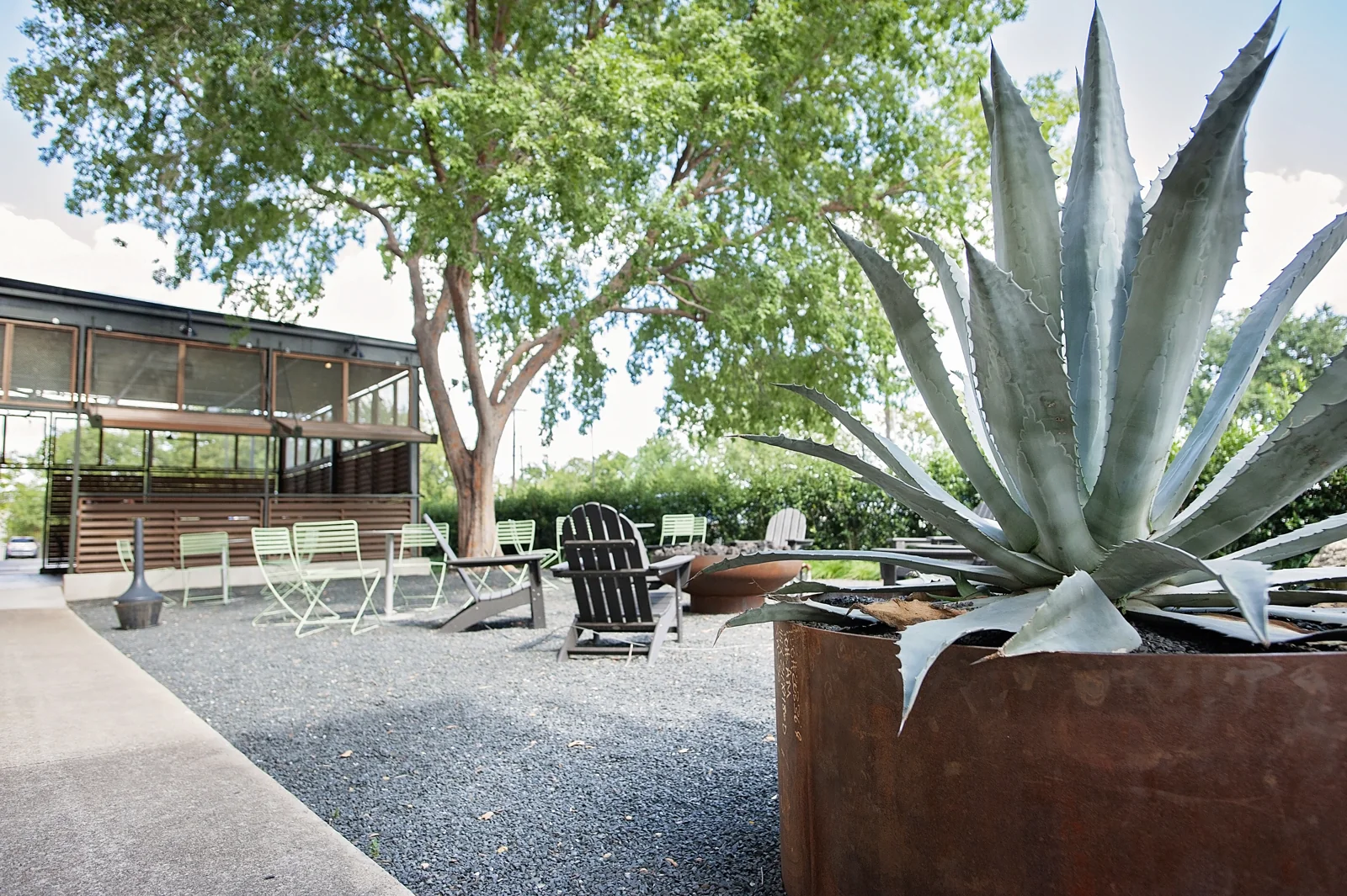 3900 Willow St - photo 4 - Dallas, TX