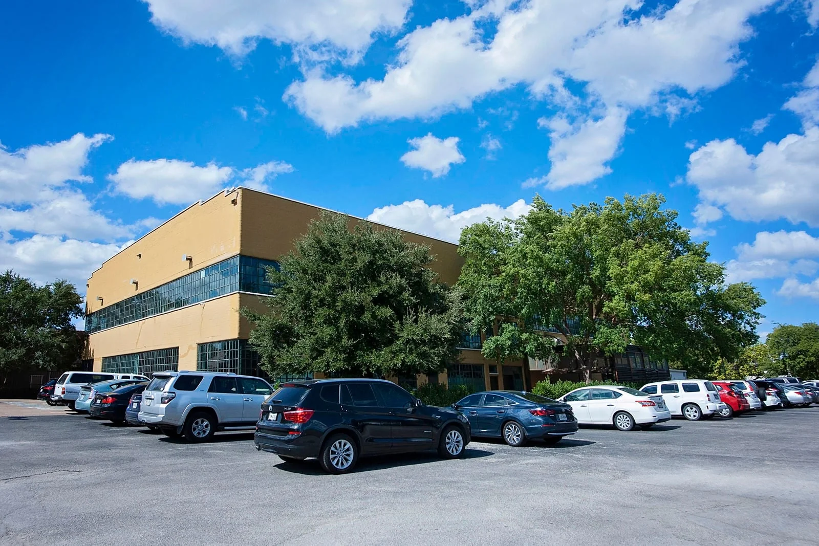 3900 Willow St - photo 6 - Dallas, TX