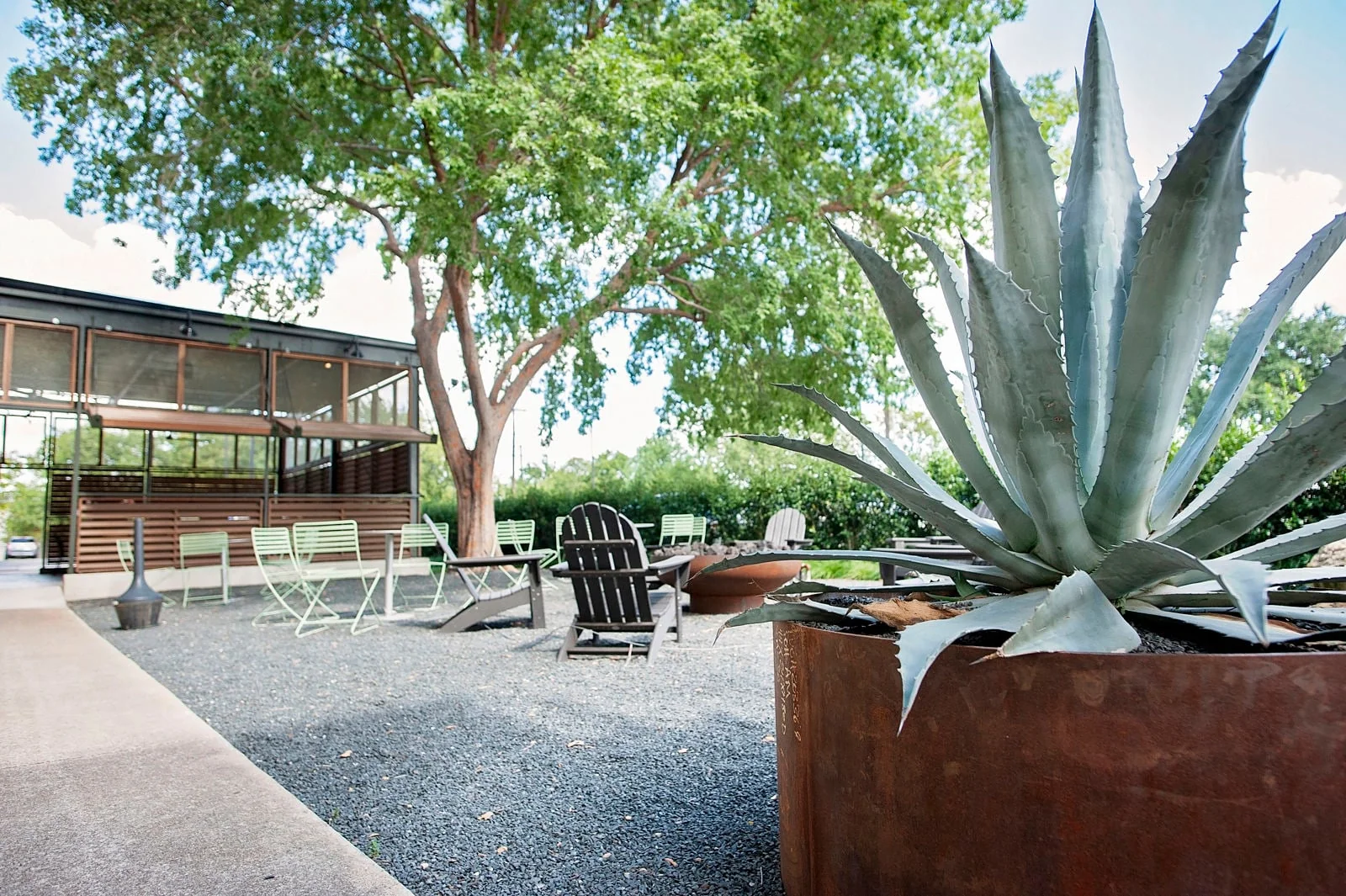 3900 Willow St - photo 10 - Dallas, TX