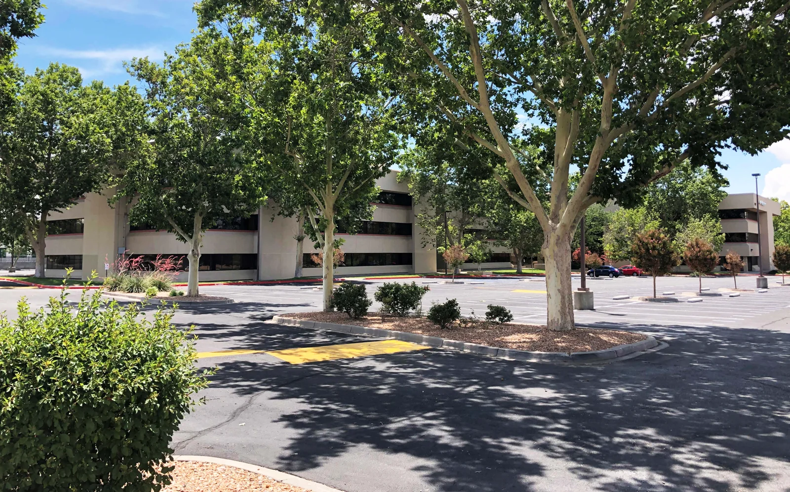 Clifford Plaza — Lease in Albuquerque, NM, photo 5 of 8