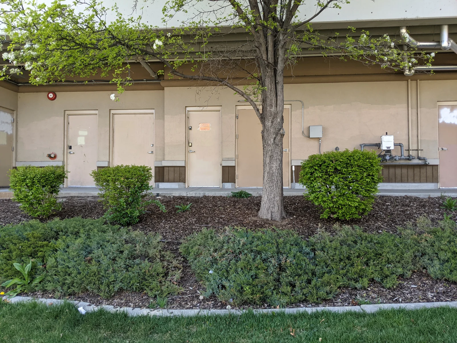 Smith's Avenues Retail — Lease in Salt Lake City, UT, photo 7 of 8