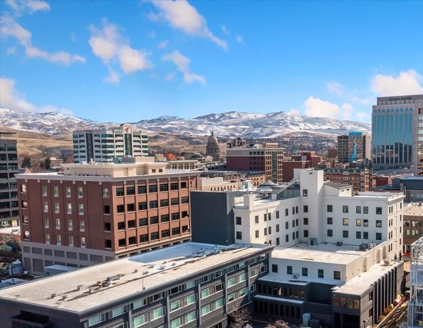The Owyhee - photo 3 - Boise, ID