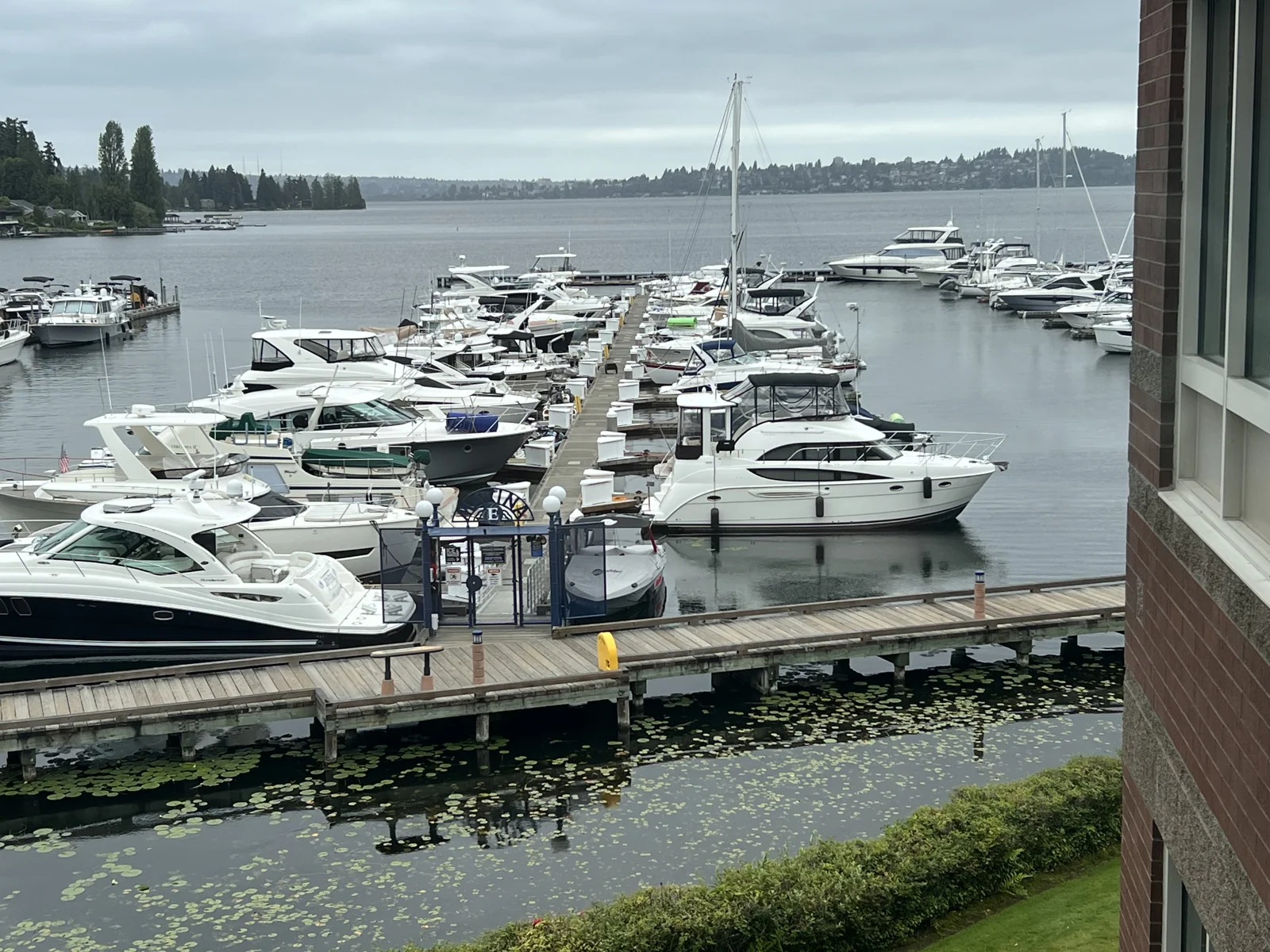 Suite 5300, 5000 Carillon Point — Lease in Kirkland, WA, photo 3 of 6