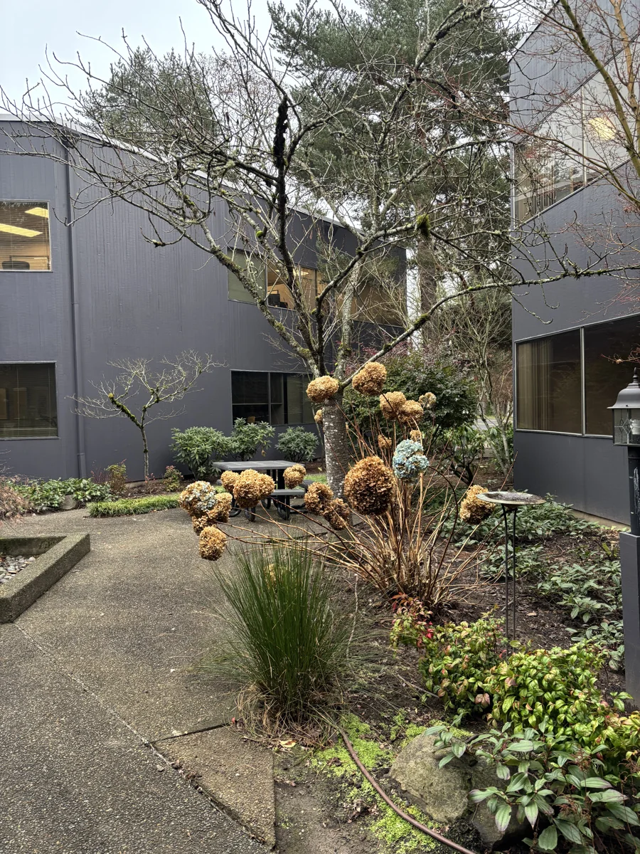 Hampton Oaks — Lease in Tigard, OR, photo 2 of 3