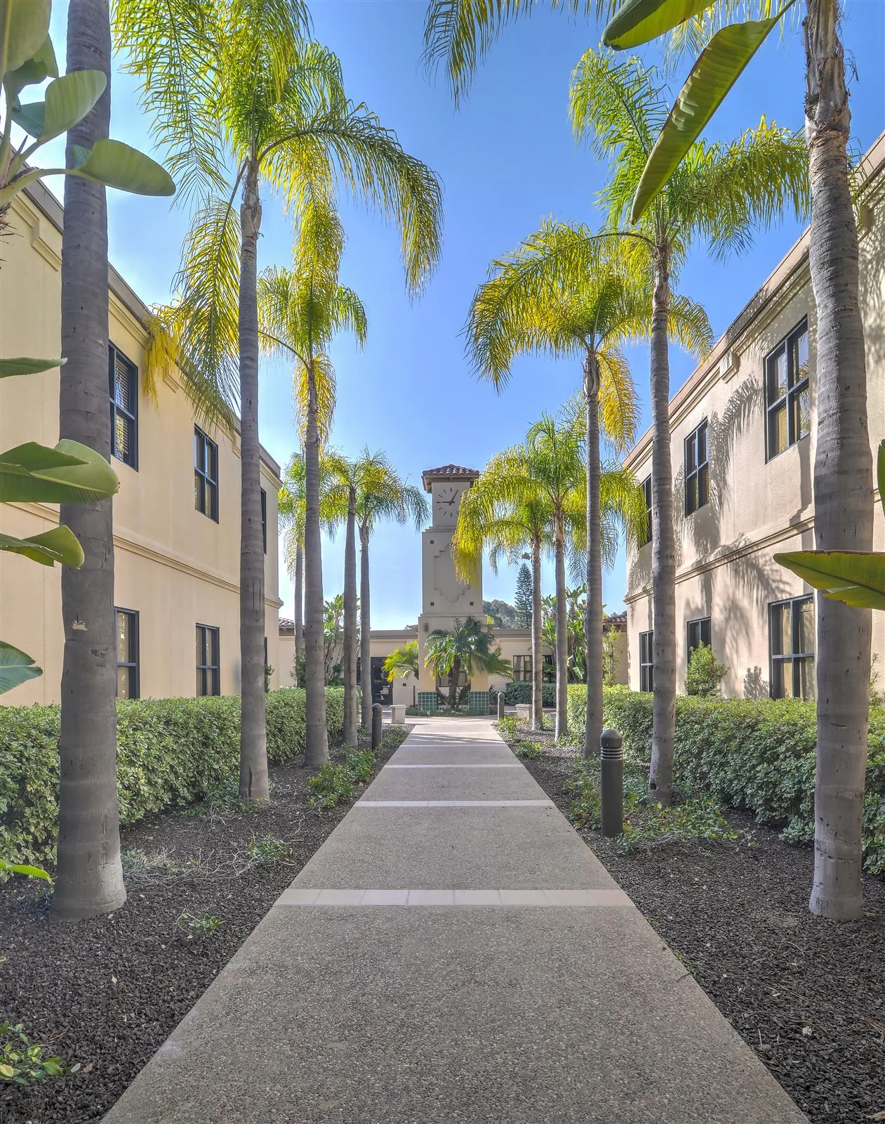 Gateway Medical Center — Lease in Poway, CA, photo 3 of 8