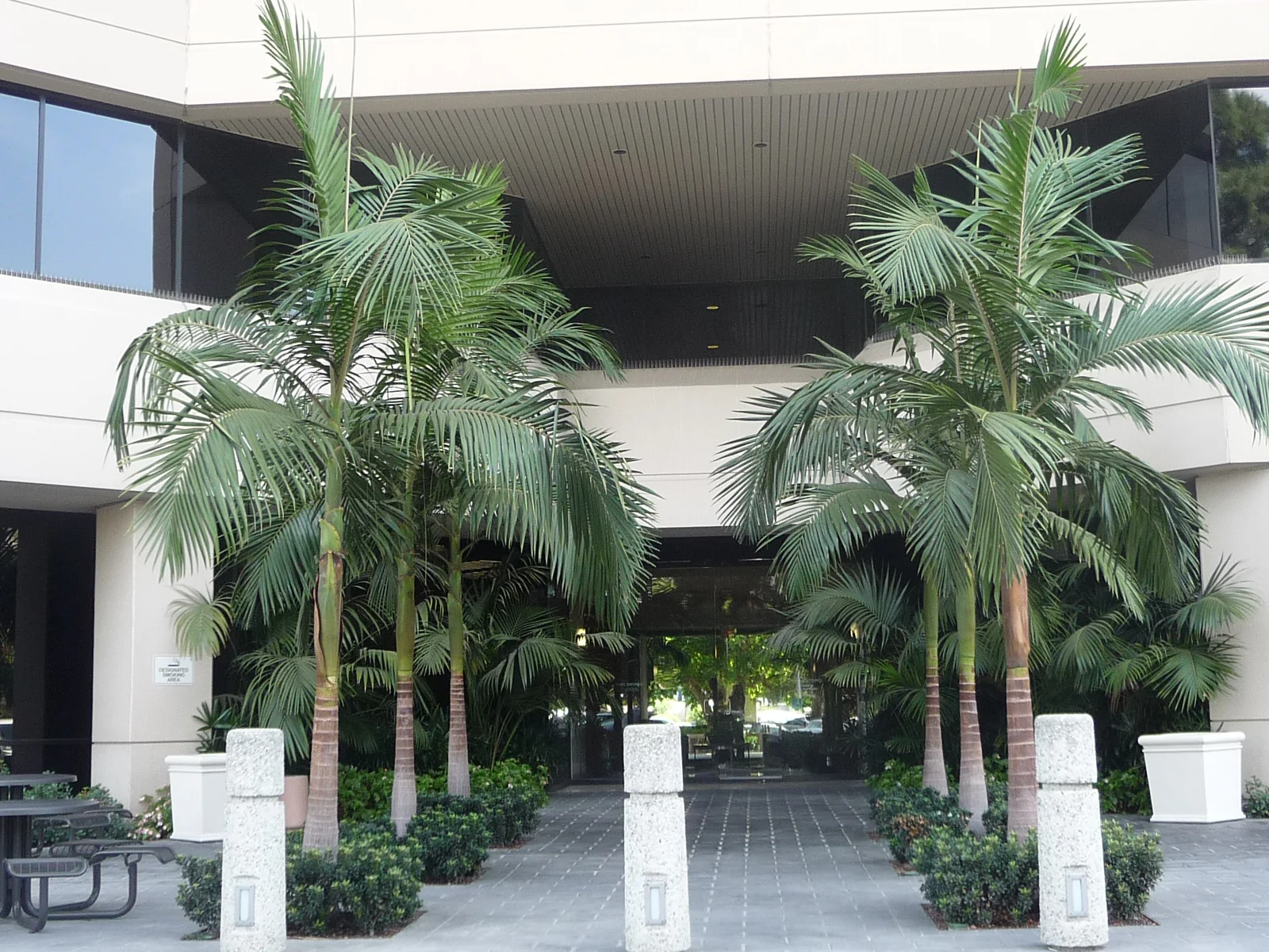Centrum South - photo 4 - Orange, CA