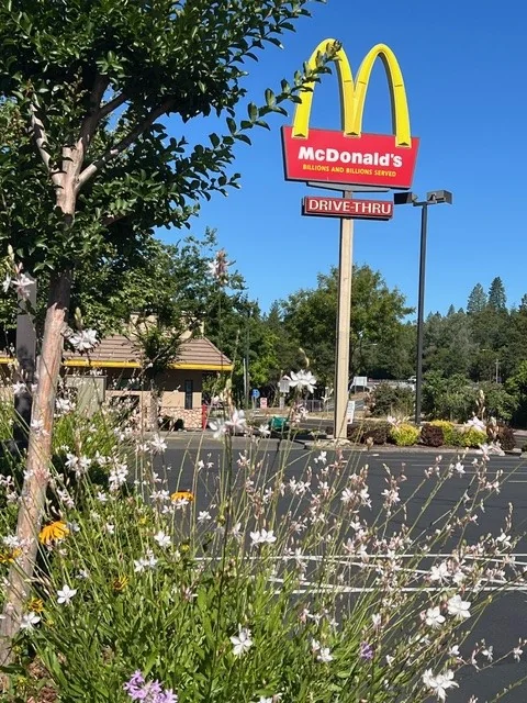 Hangtown Village Square Anchor — Lease in Placerville, CA, photo 2 of 4