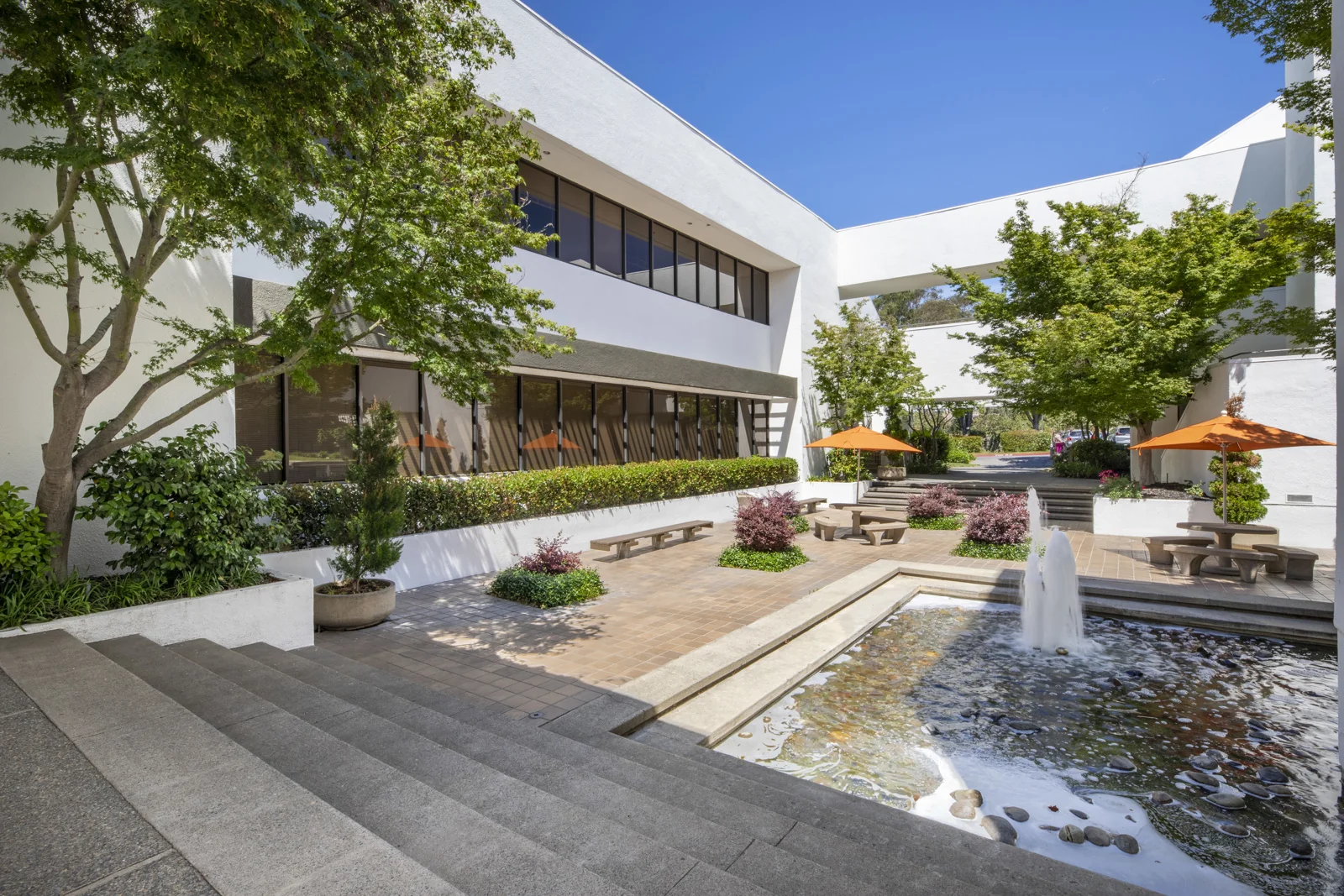 1451 River Park Drive - photo 3 - Sacramento, CA