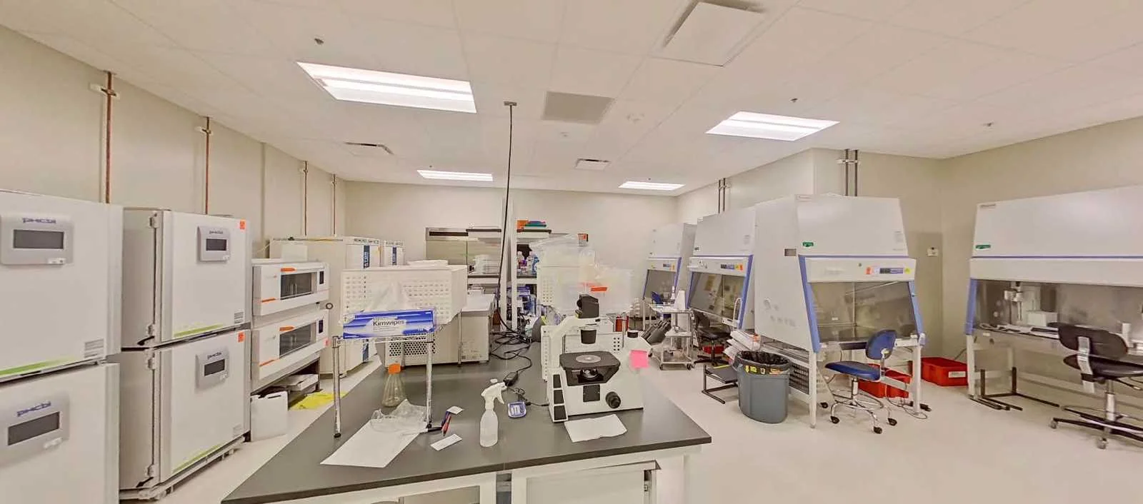 LifeSciences in Milpitas, CA — Lease in Milpitas, CA, photo 2 of 6