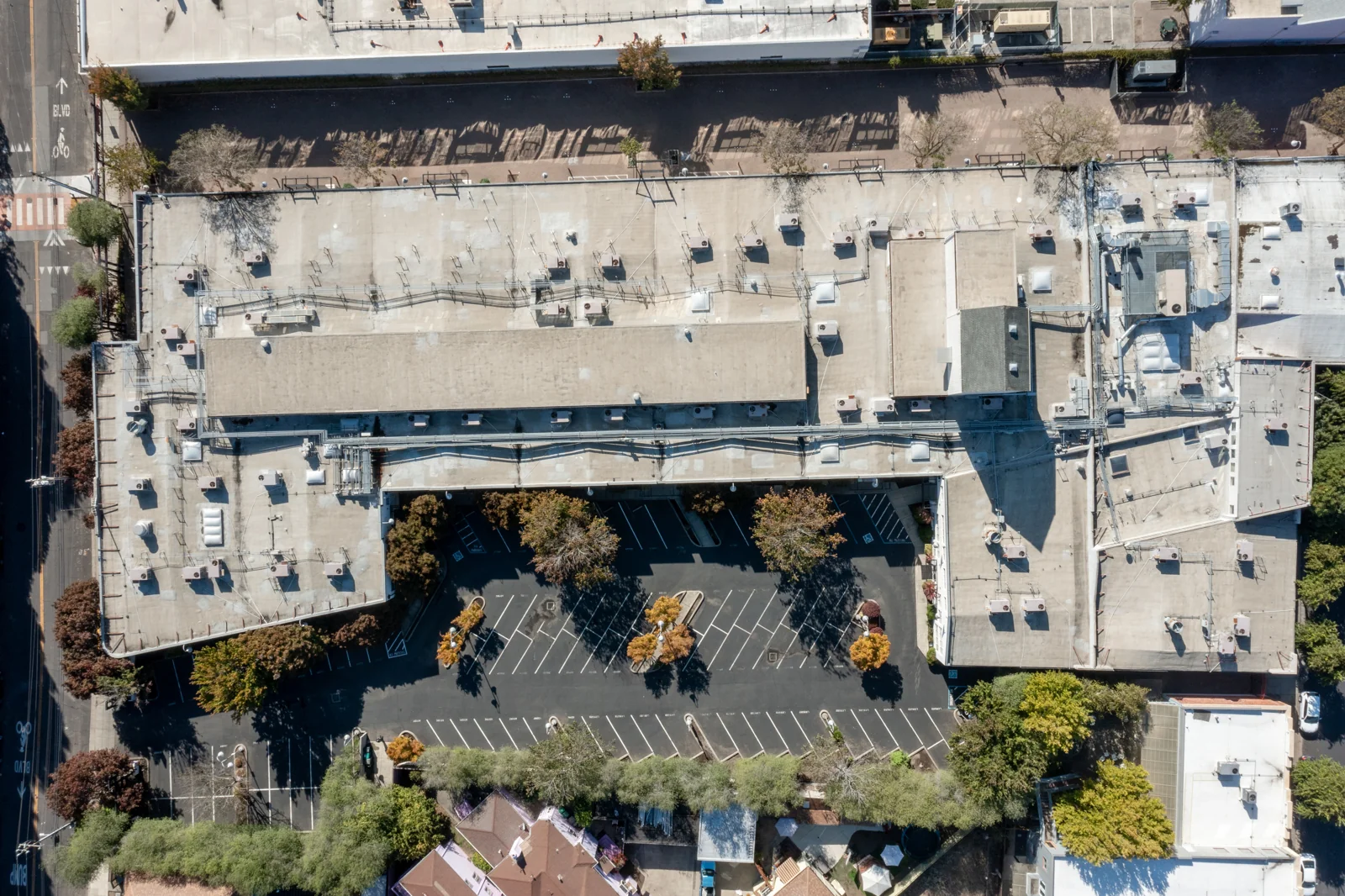 1250 53rd Street - Thoroughbred Building Emeryville — Lease in Emeryville, CA, photo 6 of 8
