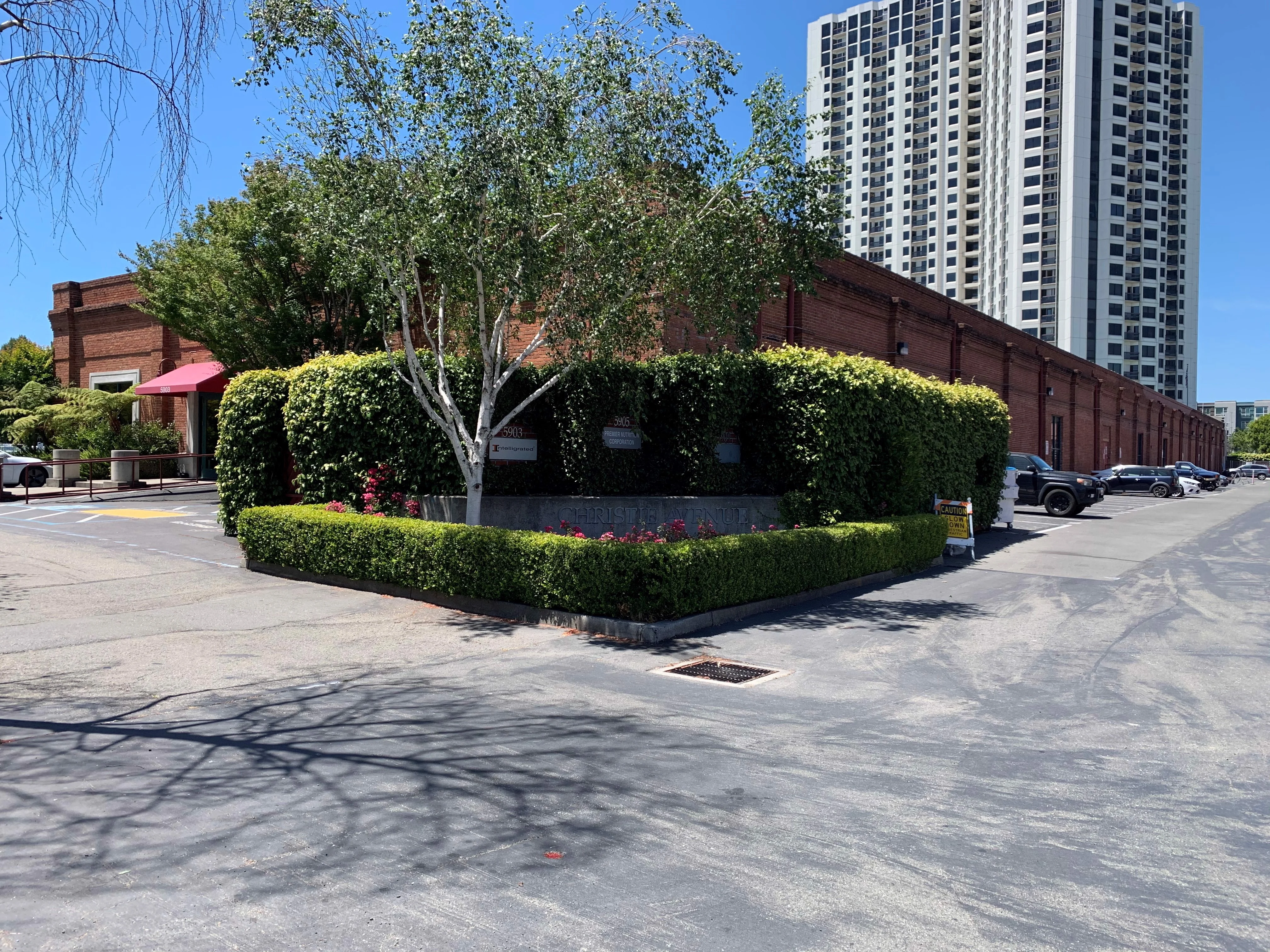 Office in Emeryville, CA — Lease in Emeryville, CA, photo 4 of 5