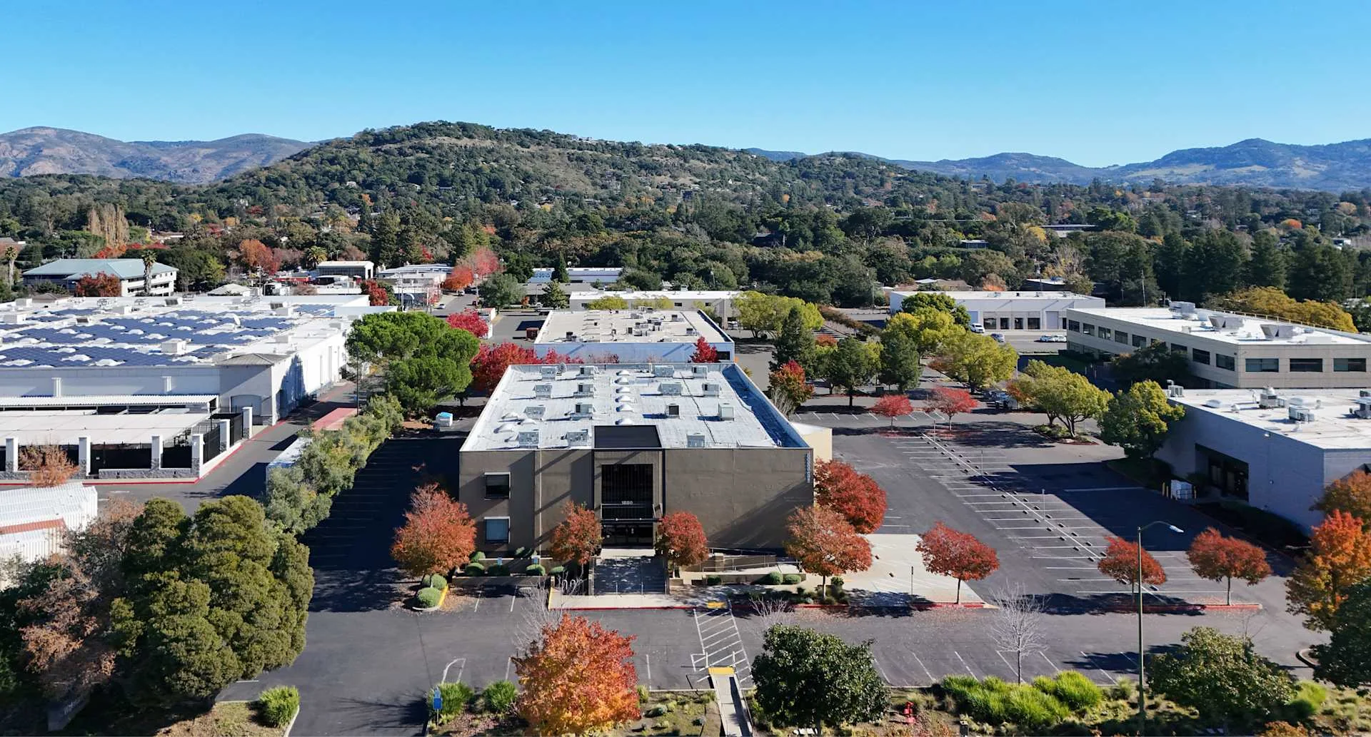 1850 Soscol Ave - photo 2 - Napa, CA