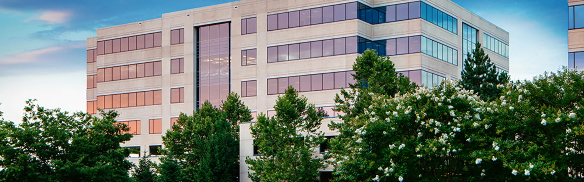 Worldgate Plaza IV — Lease in Herndon, VA, photo 4 of 4
