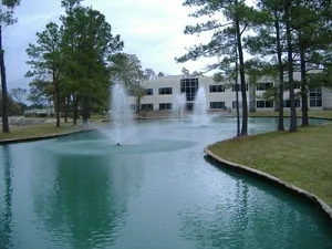 One Northgate — Lease in Spring, TX, photo 3 of 8