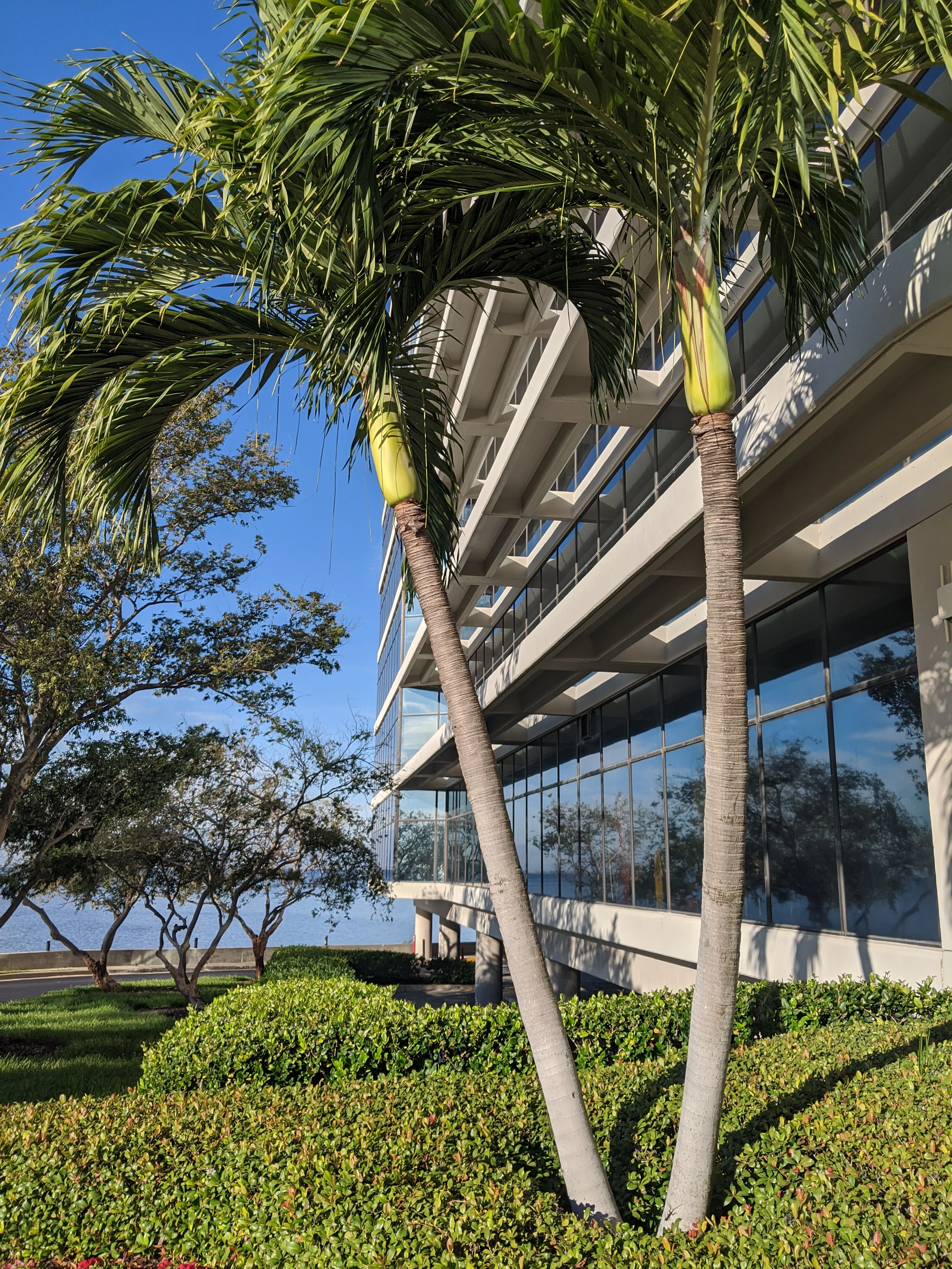 The Pointe - photo 3 - Tampa, FL