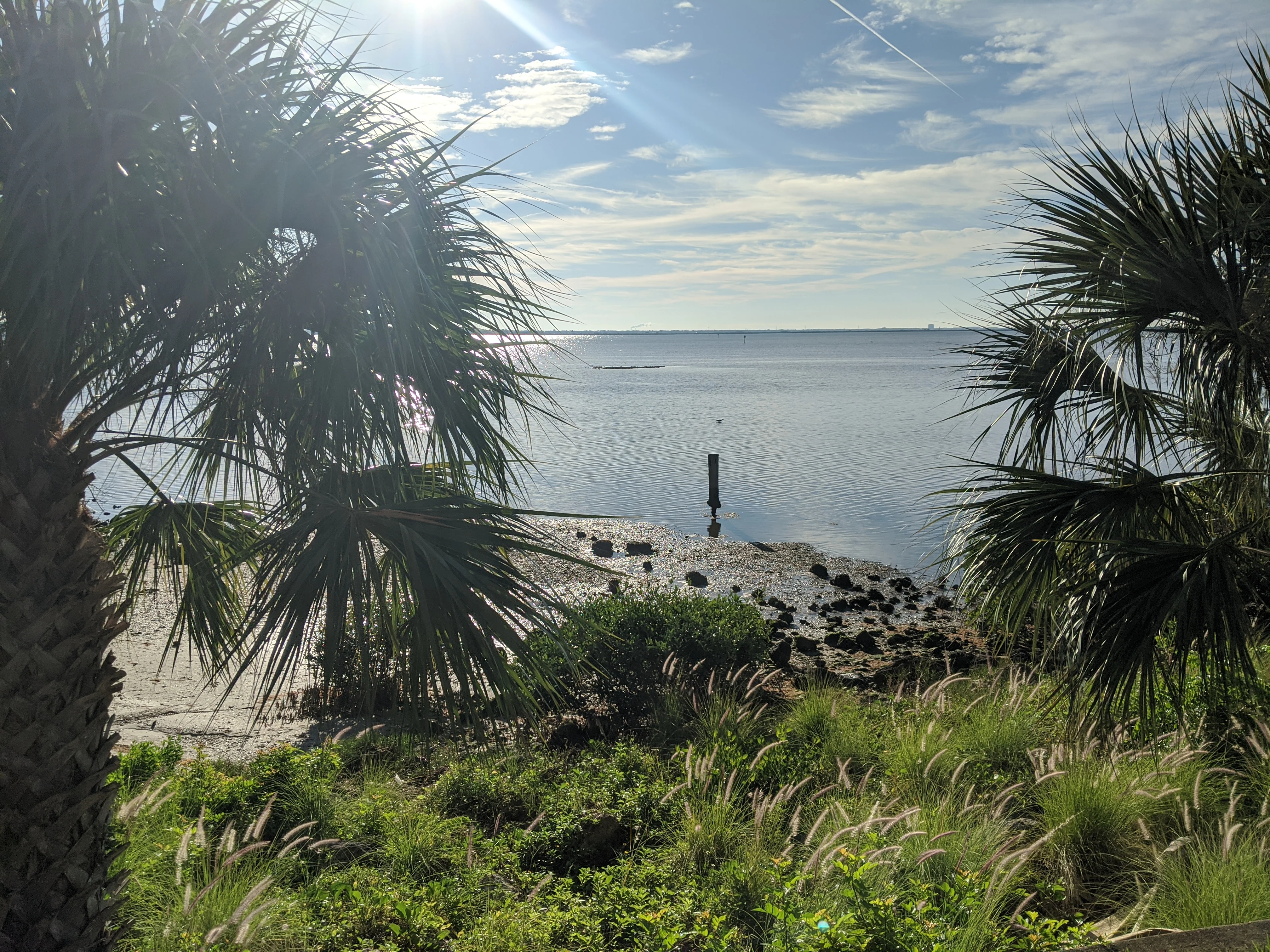 The Pointe - photo 5 - Tampa, FL