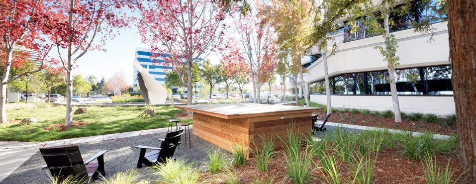 San Mateo Center III — Lease in San Mateo, CA, photo 5 of 8