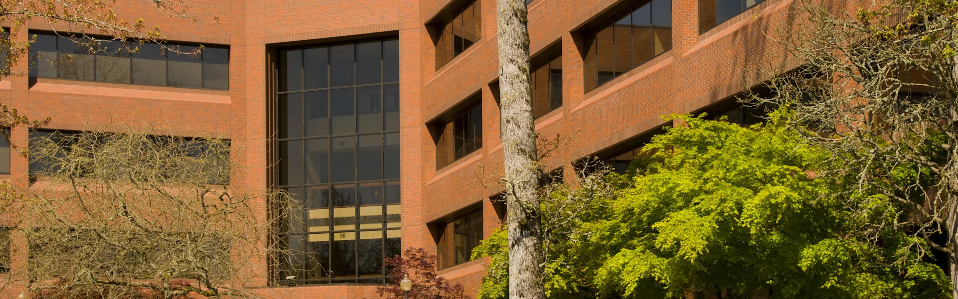 Kruse Woods I — Lease in Lake Oswego, OR, photo 4 of 4