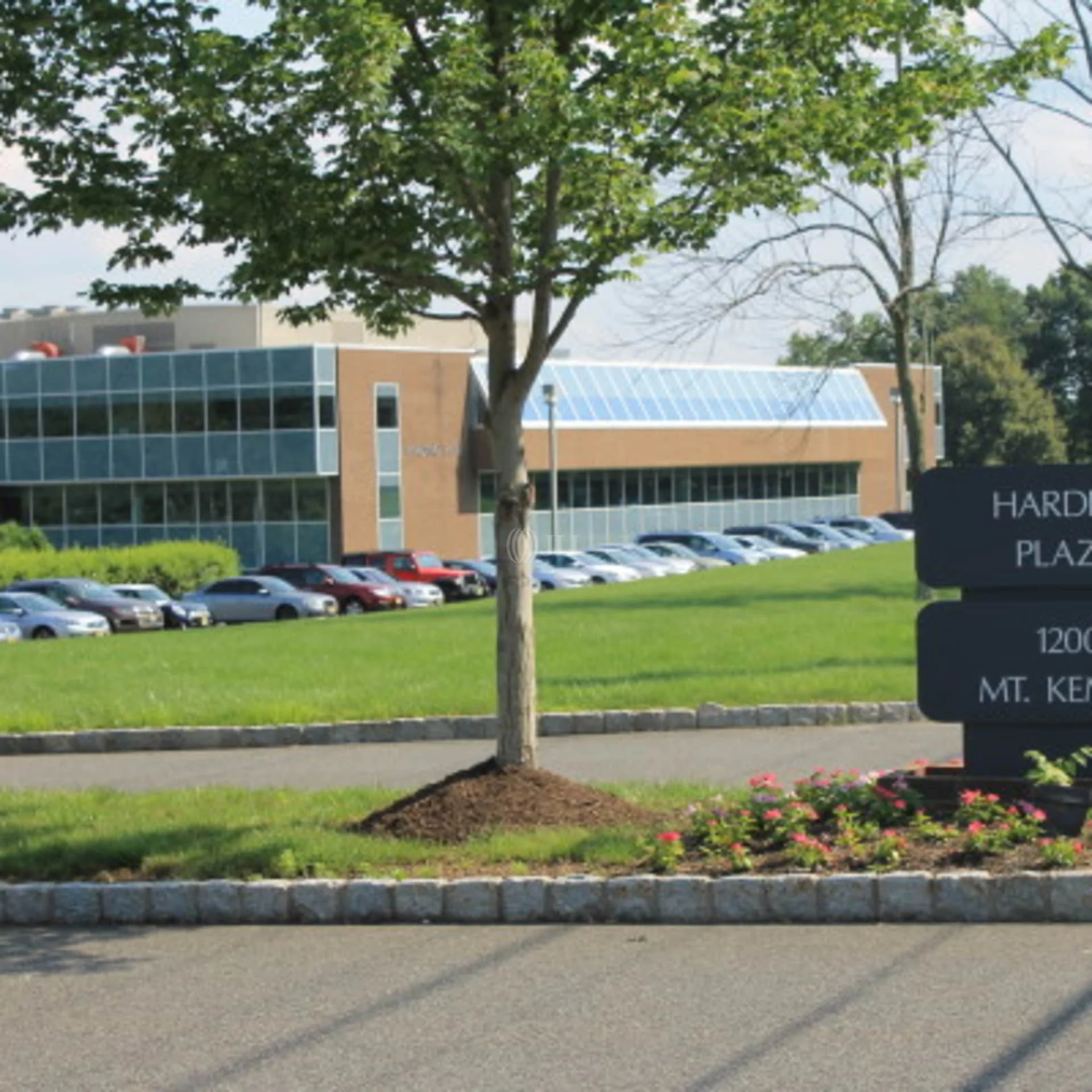 Harding Plaza - photo 3 - Morristown, NJ