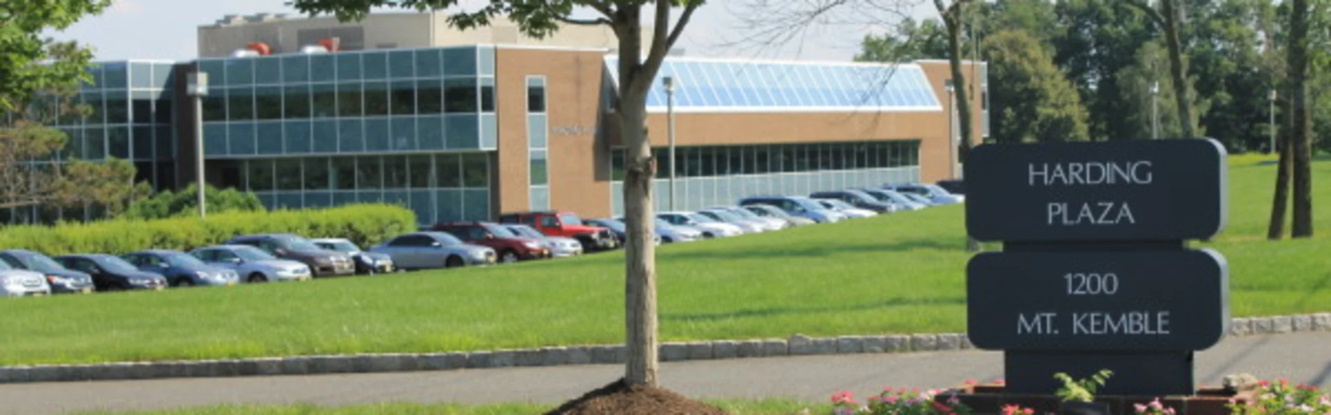 Harding Plaza - photo 4 - Morristown, NJ