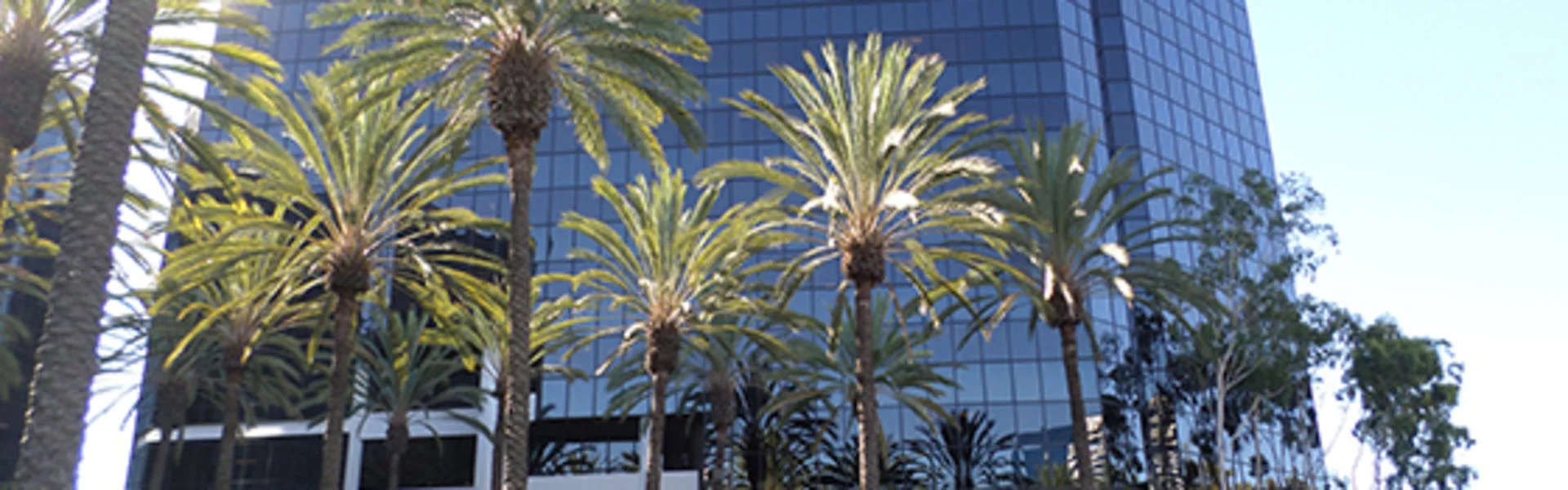 Irvine Towers - photo 4 - Irvine, CA