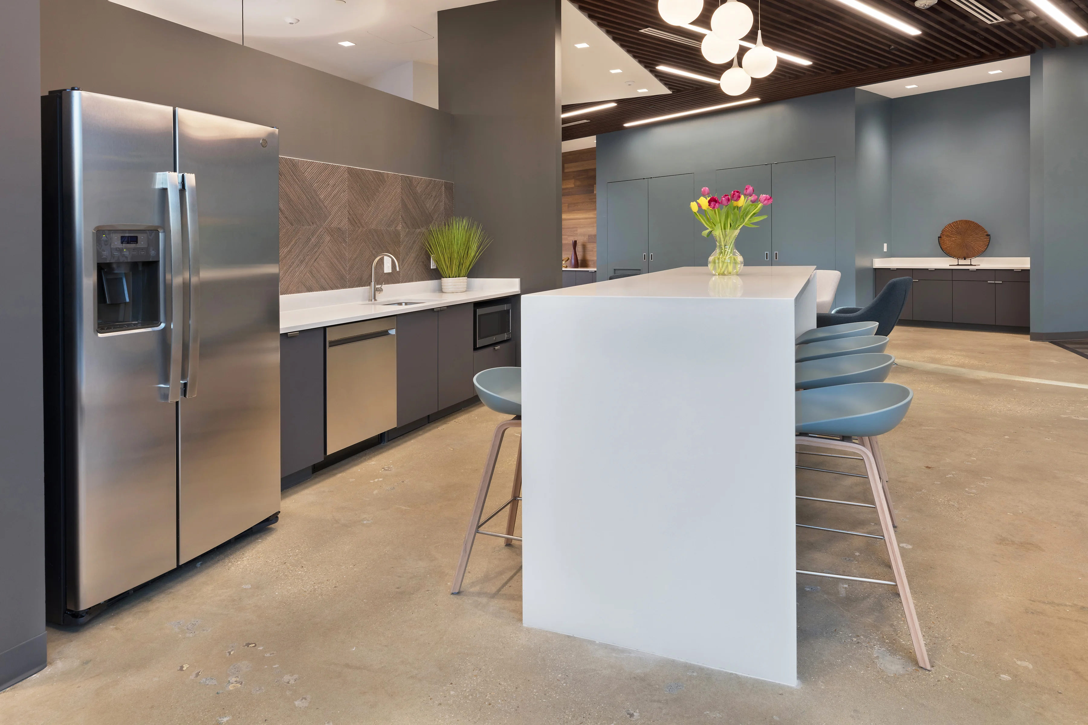 Argent Spring - photo 6 - Silver Spring, MD