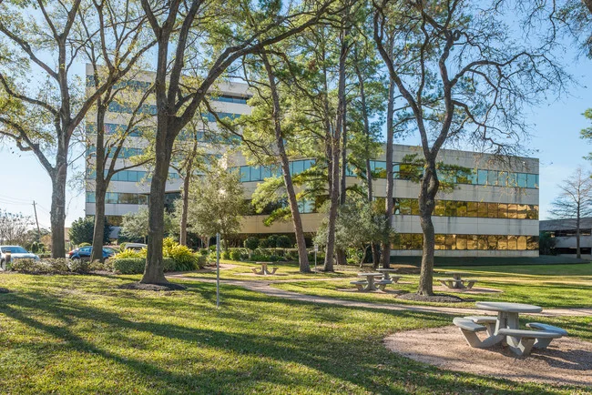 Ashford 6 - photo 3 - Houston, TX