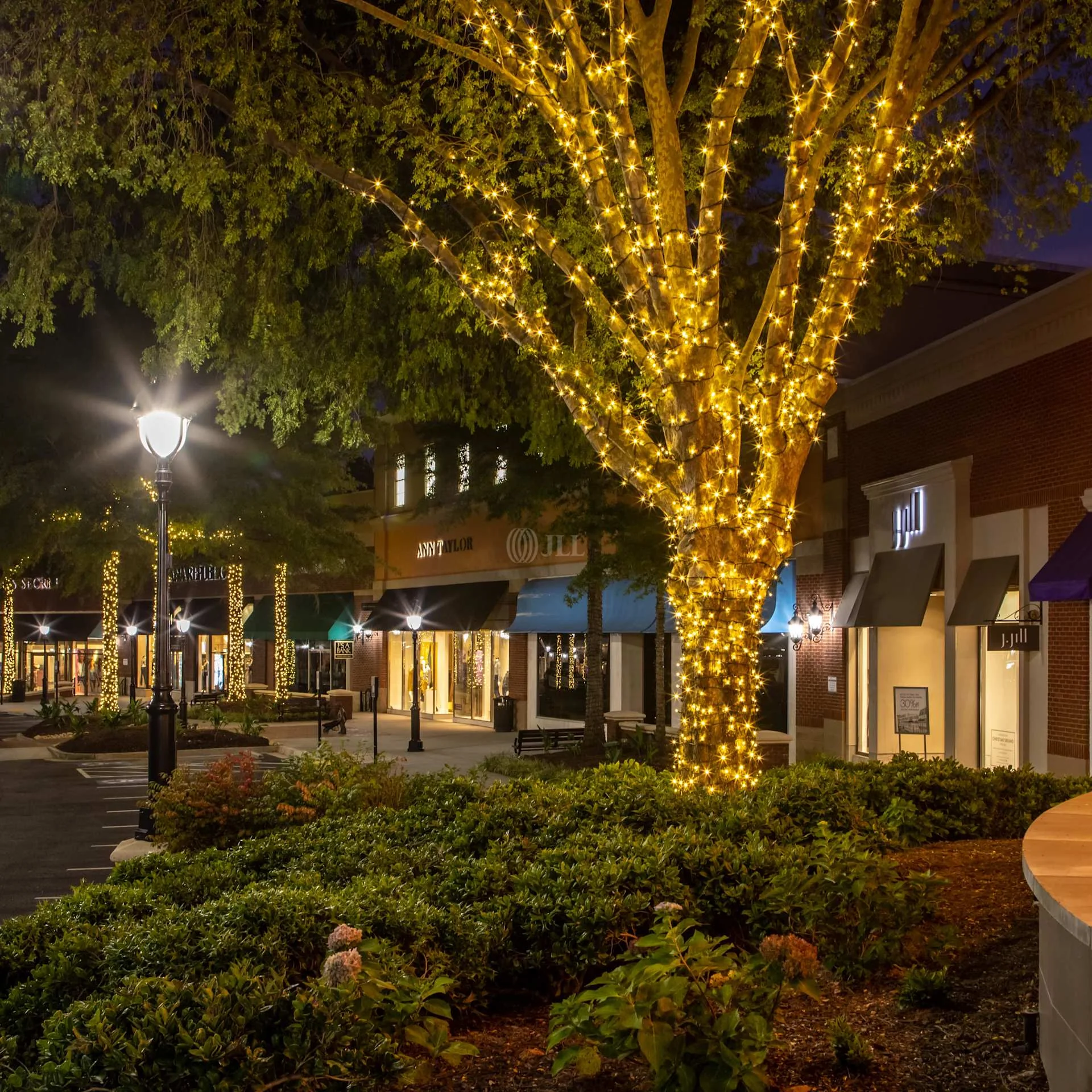 The Avenue Peachtree City — Lease in Peachtree City, GA, photo 3 of 4