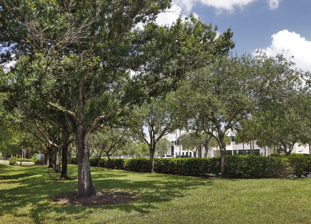 Meridian at Weston - photo 3 - Weston, FL