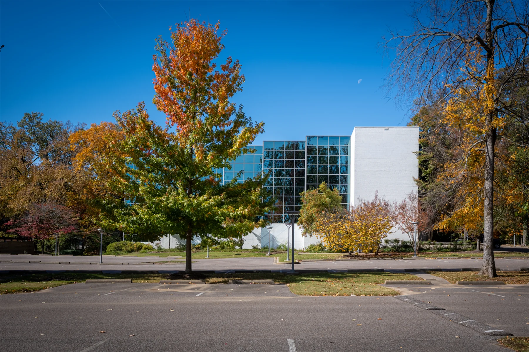 Office in Memphis, TN — Lease in Memphis, TN, photo 4 of 7
