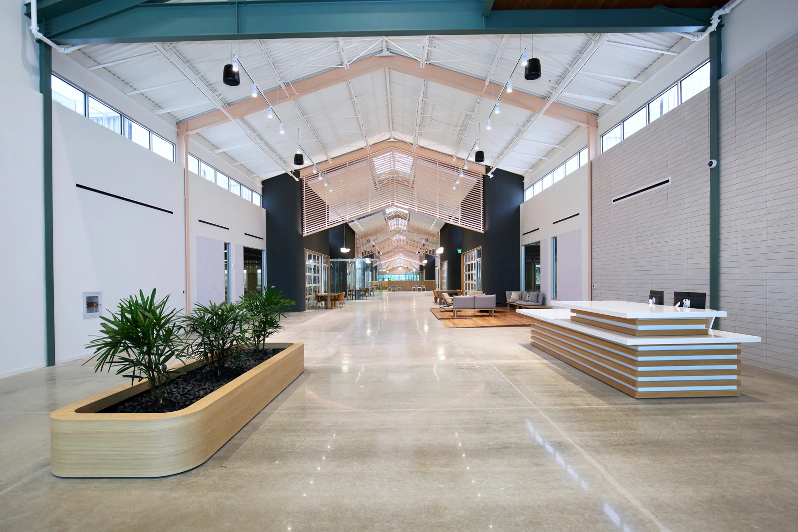 Assembly Park - photo 6 - Plano, TX