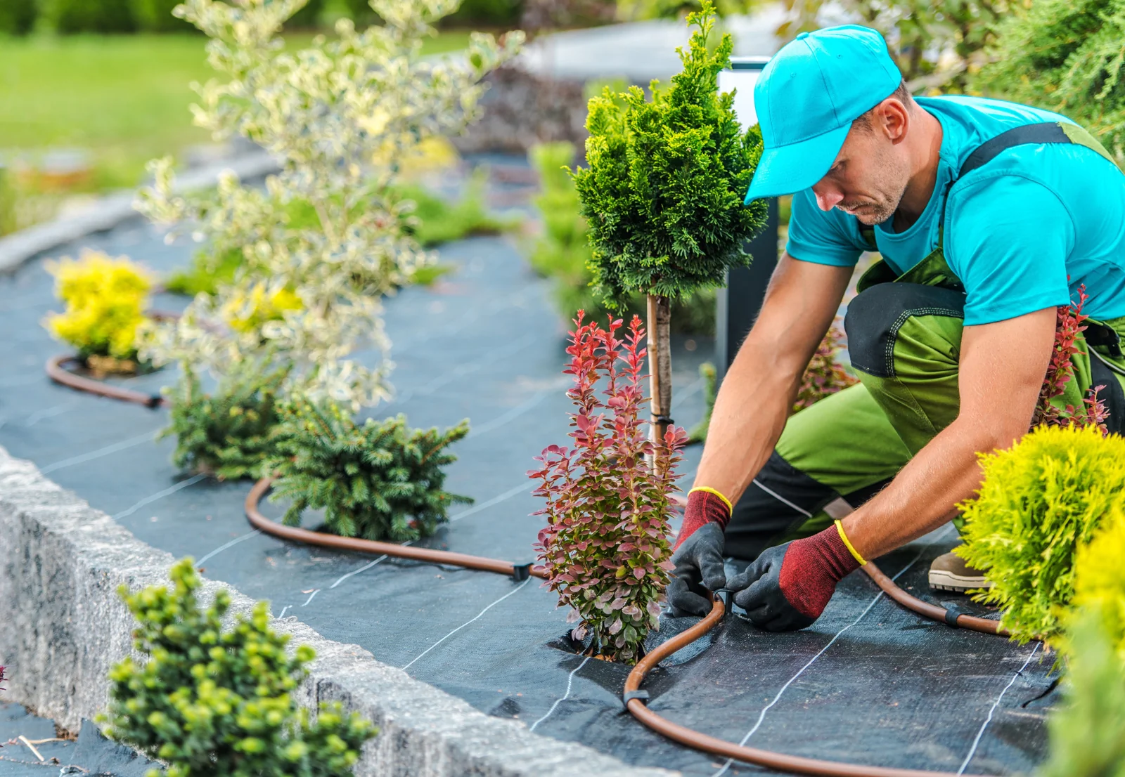 Landscape & Snow Removal - Business Sale - Northeast… — Sale in Cleveland, OH, photo 2 of 5