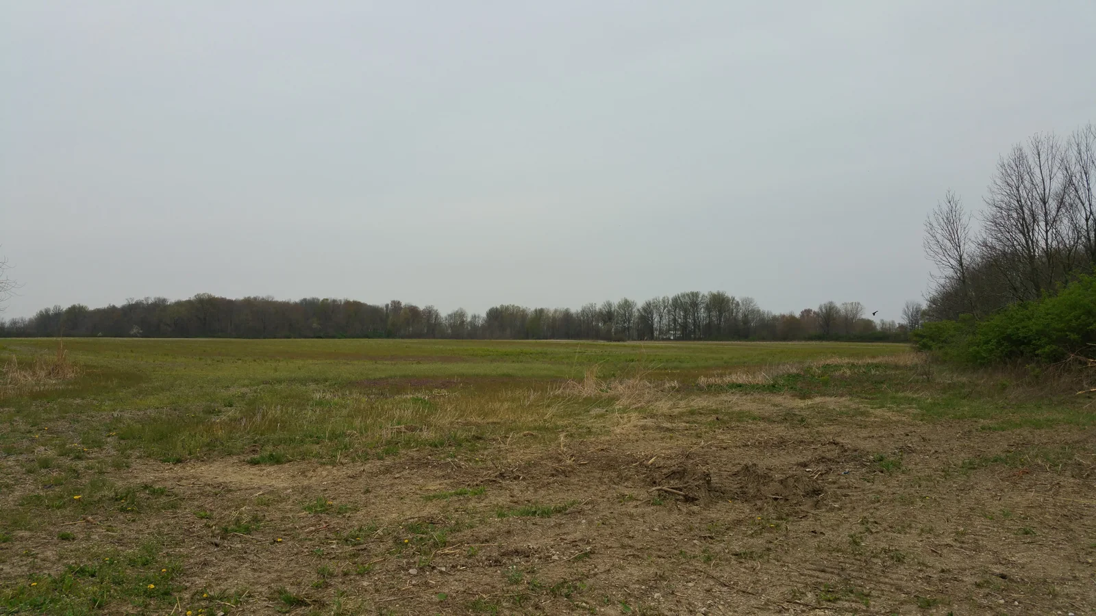 Land in Groveport, OH — Sale in Groveport, OH, photo 2 of 3
