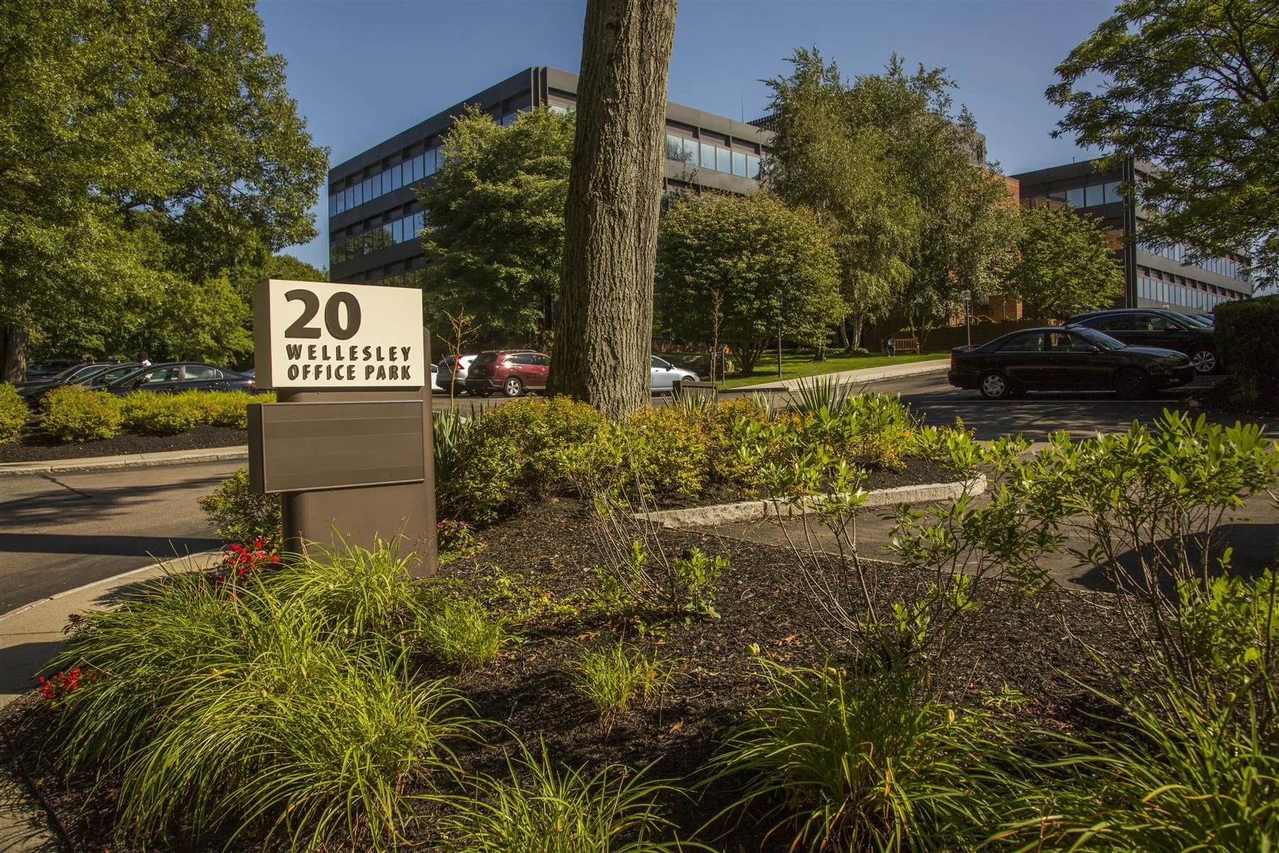 Wellesley Office Park - other in wellesley, MA