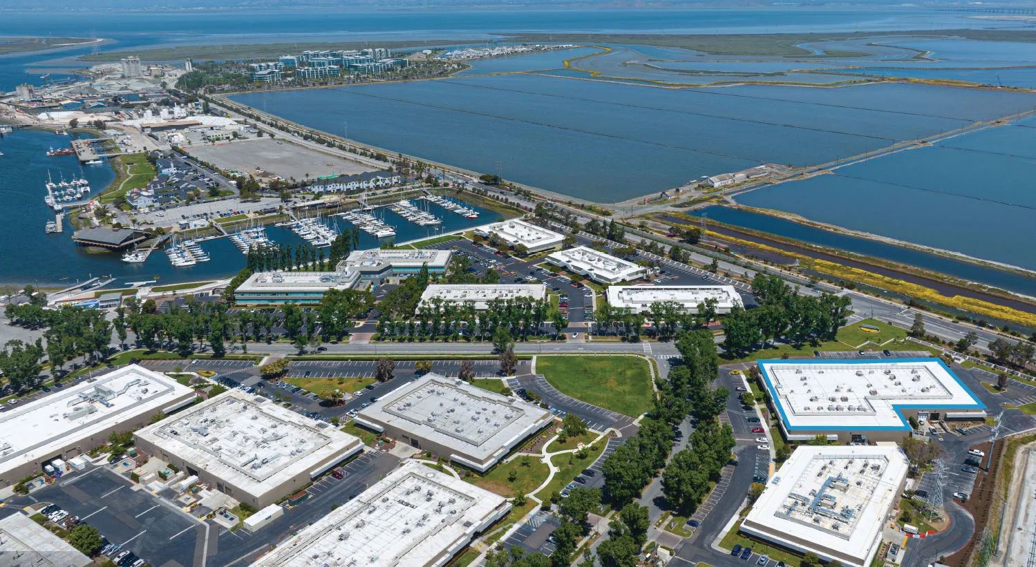 FlexIndustrial in Redwood City, CA — Lease in Redwood City, CA, photo 3 of 8