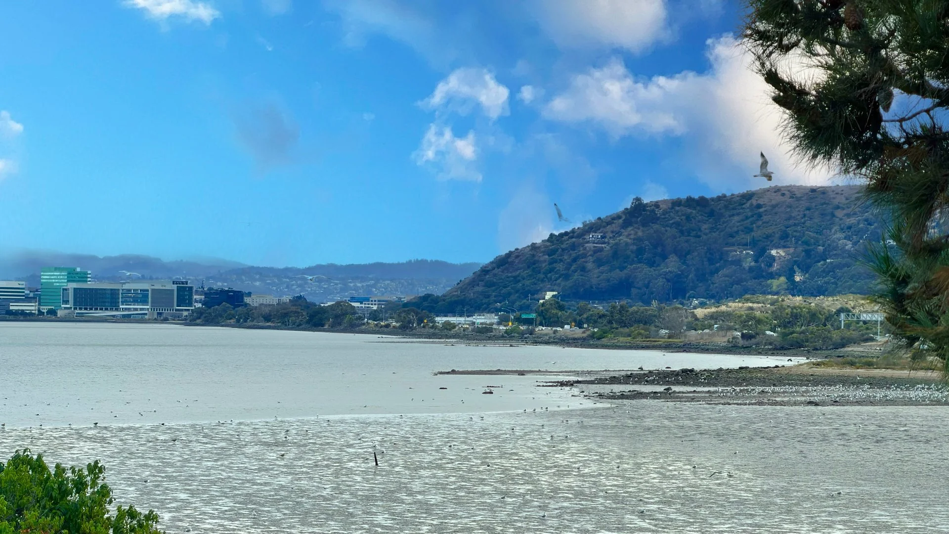 Brisbane Underwater Land 46.23 AC — Sale in Brisbane, CA, photo 1 of 2