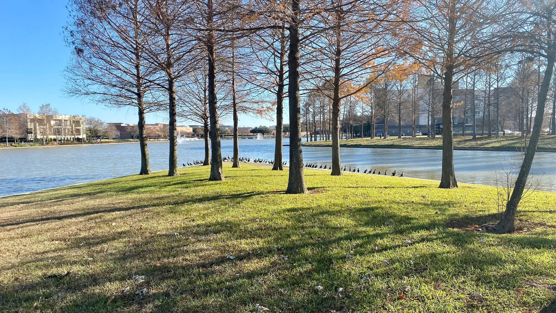 Lake Pointe Waterfront — Sale in Sugar Land, TX, photo 4 of 4