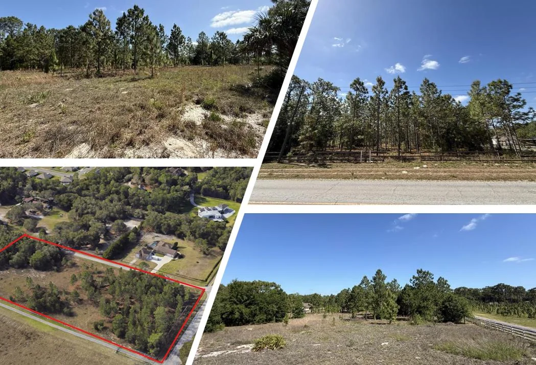 5 ACRES DELAND — Sale in Deland, FL, photo 2 of 5
