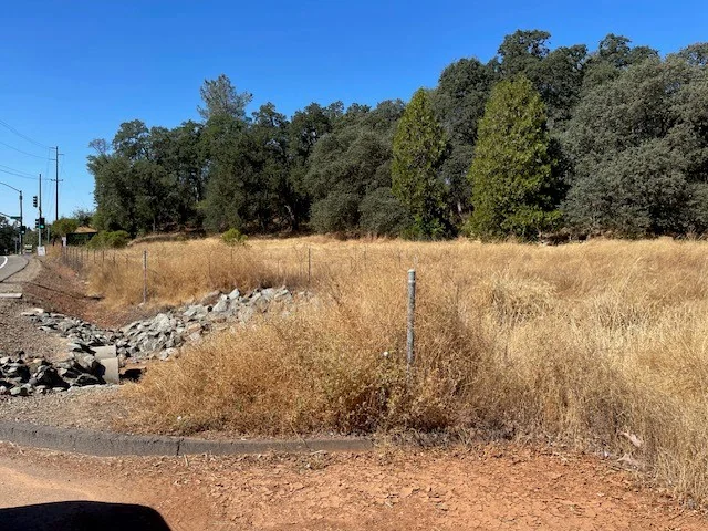 Cameron Park Land