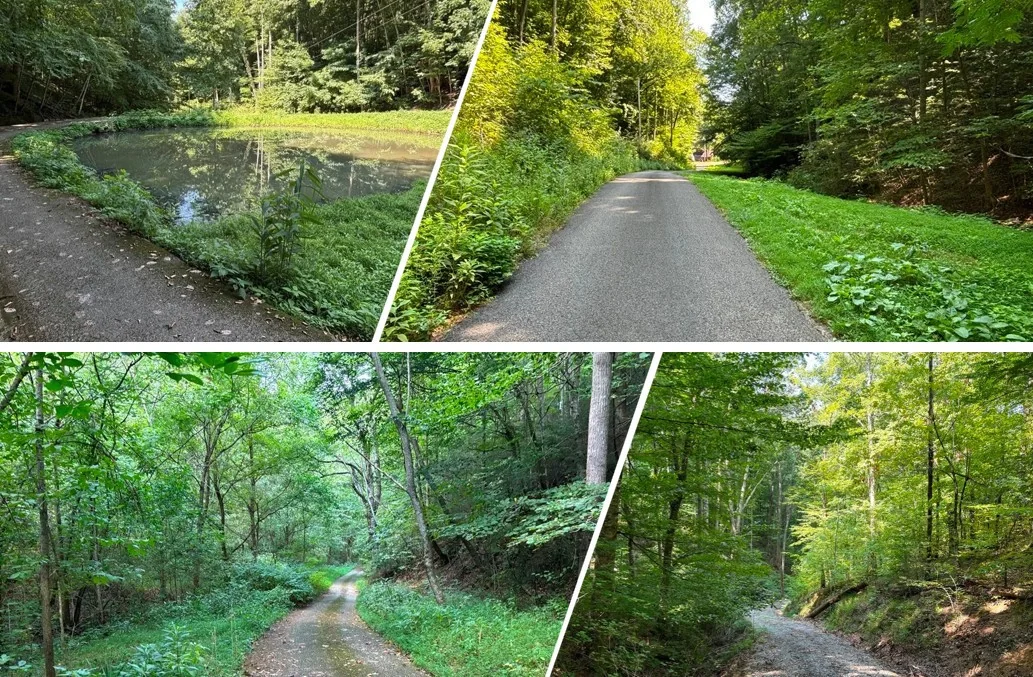 LAUREL TRACE DEVELOPMENT SITE — Sale in Sevierville, TN, photo 2 of 8