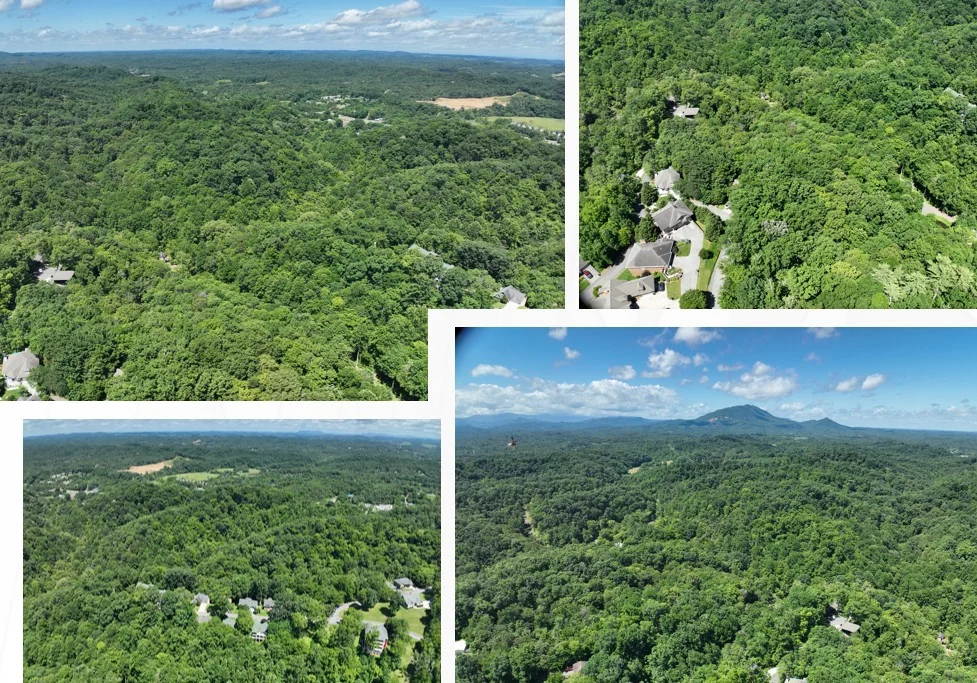 LAUREL TRACE DEVELOPMENT SITE — Sale in Sevierville, TN, photo 4 of 8