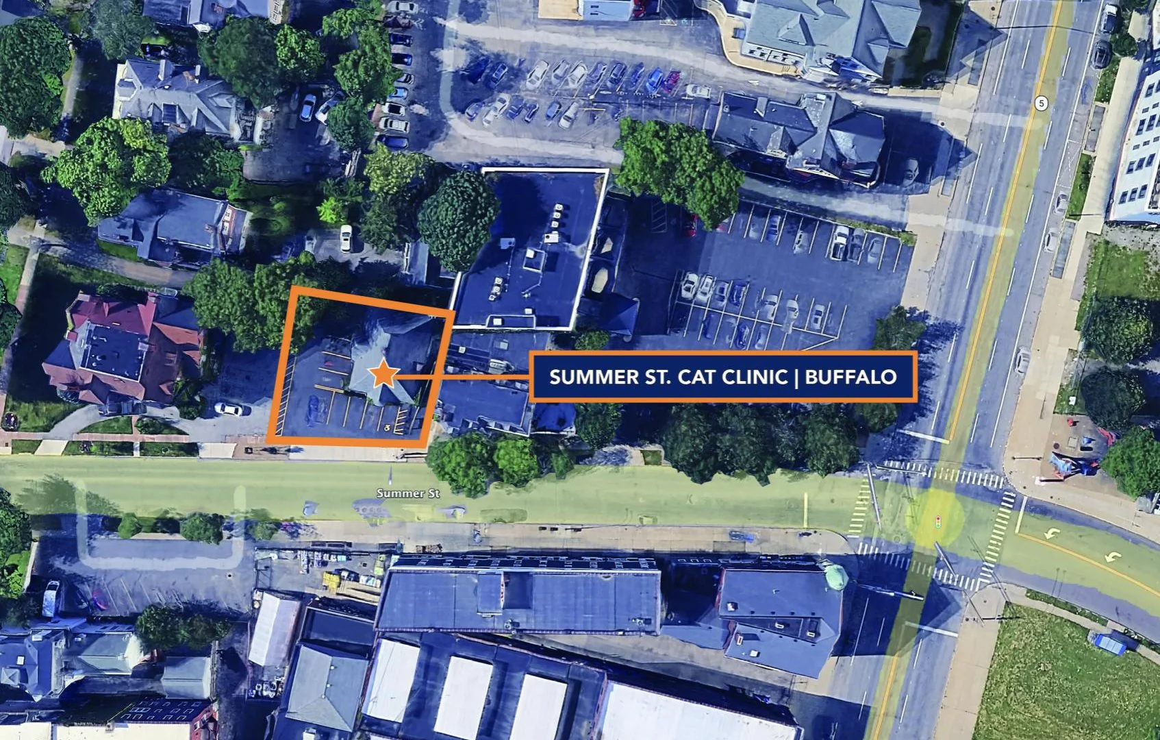 Summer Street Cat Clinic Portfolio — Sale in Buffalo, NY, photo 3 of 4