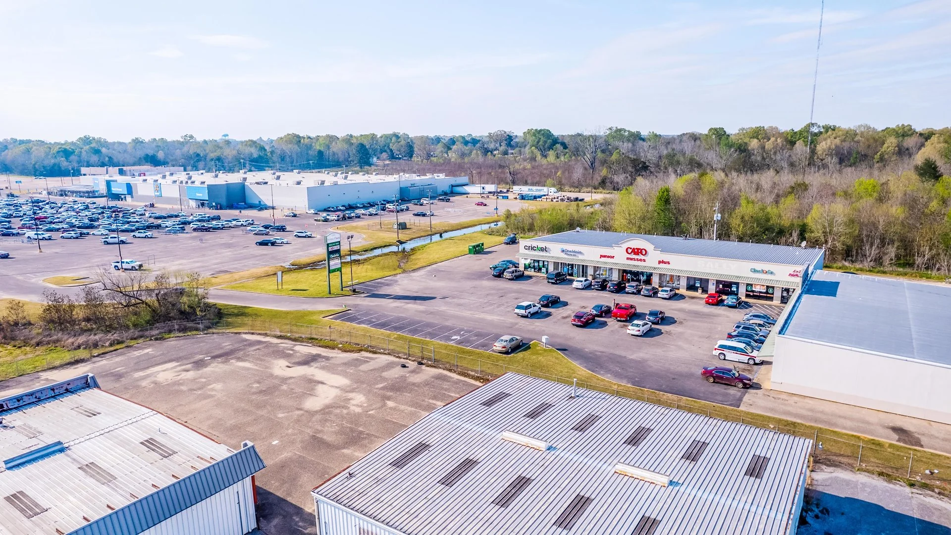 Selma Shopping Center — Sale in Selma, AL, photo 1 of 7