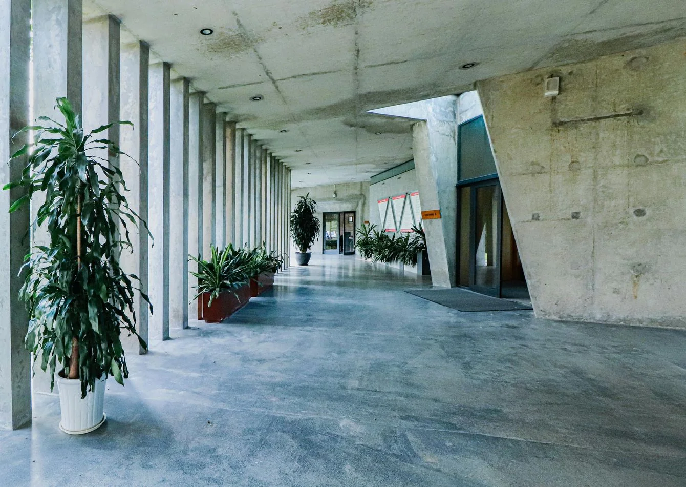 Absentee Owner Concrete Polishing, Water Proofing and… — Sale in Sacramento, CA, photo 1 of 1
