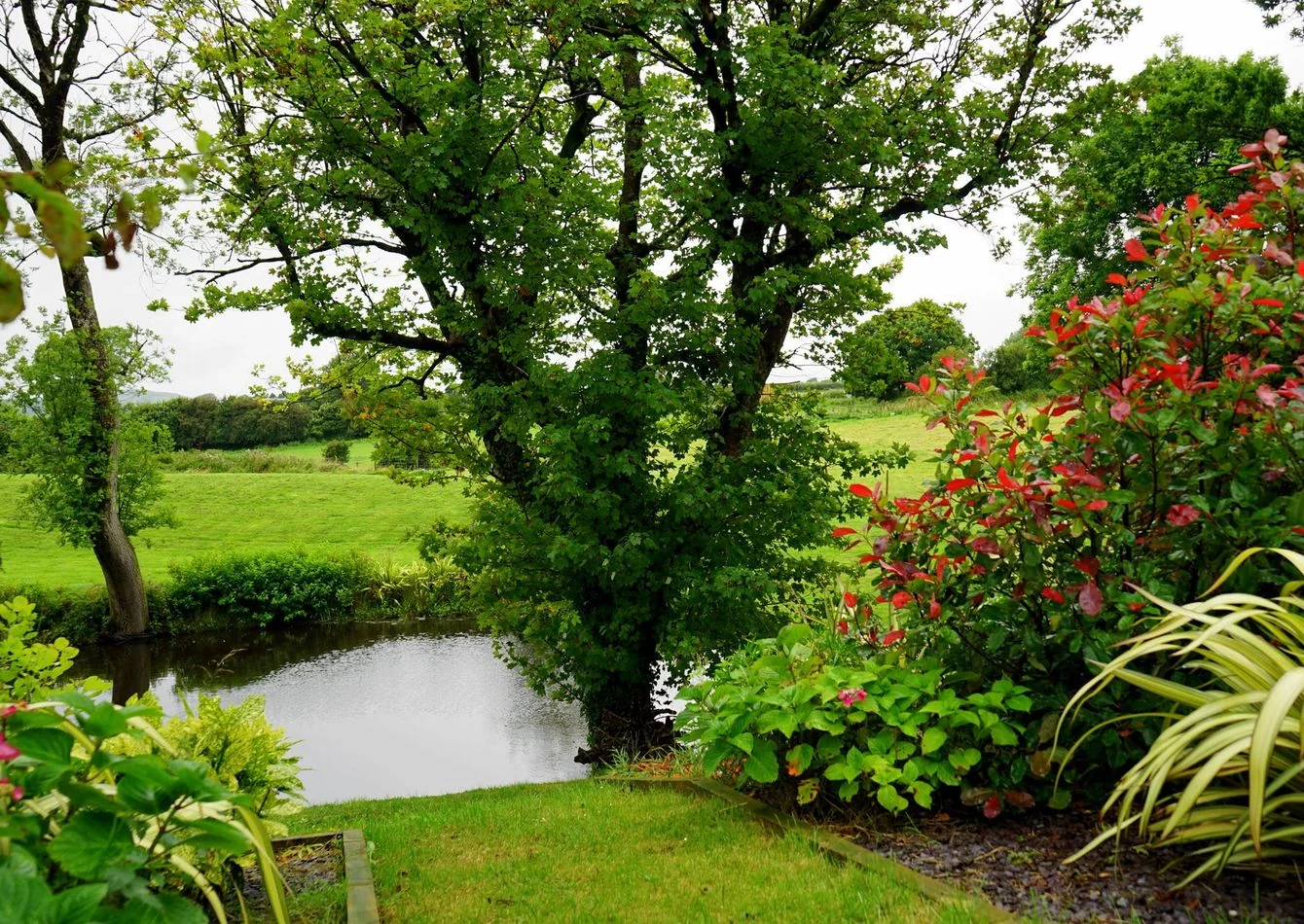 Tree and Lawn Service Franchise — Sale in Blue Bell, PA, photo 1 of 1