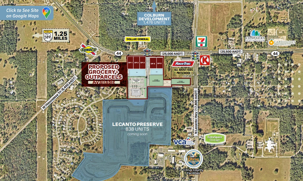 Mixed-Used Development in Lecanto — Lease in Lecanto, FL, photo 1 of 4