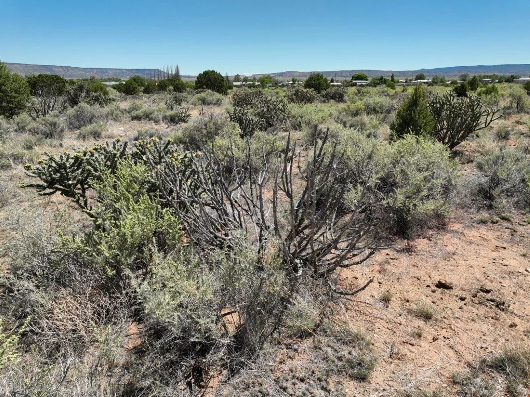Fish Hook Rd, Vacant Land — Sale in San Rafael, NM, photo 3 of 8