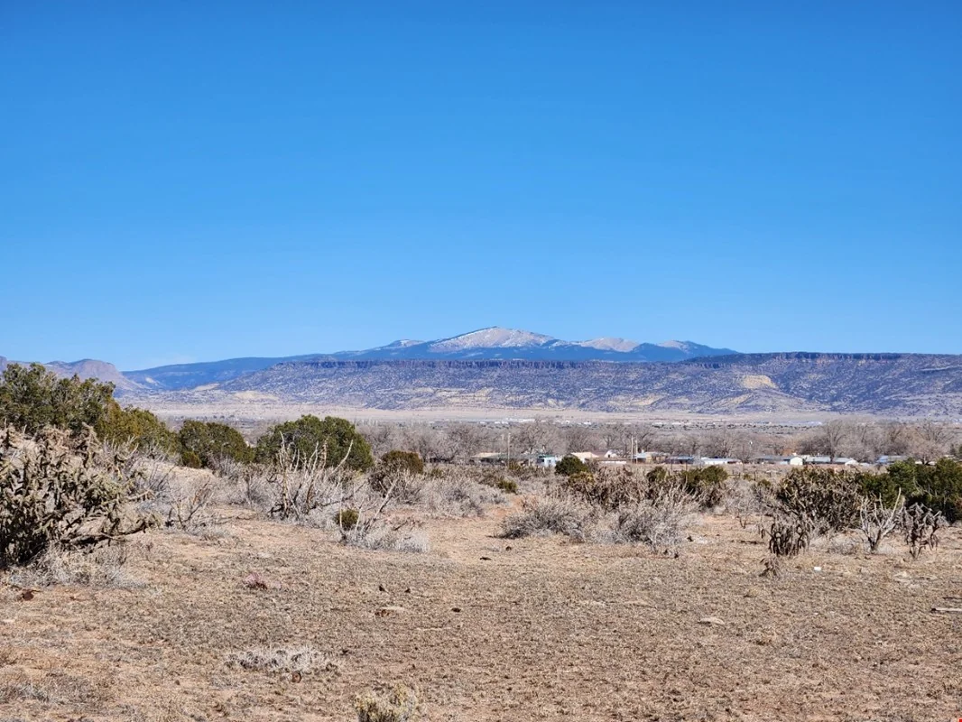 Fish Hook Rd, Vacant Land — Sale in San Rafael, NM, photo 4 of 8